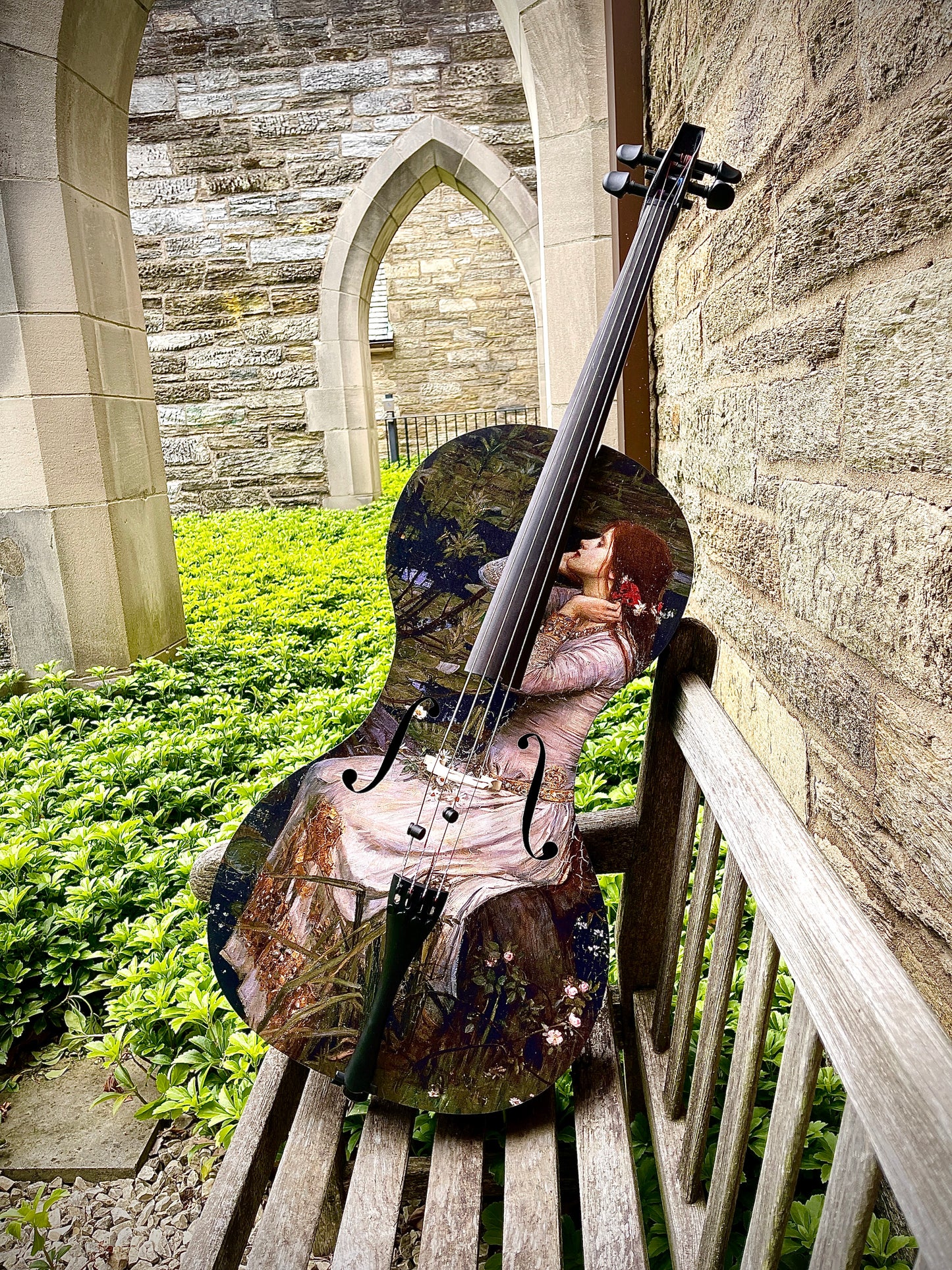 Forte3D® Cello - Fine Art TOP AND OR BACK