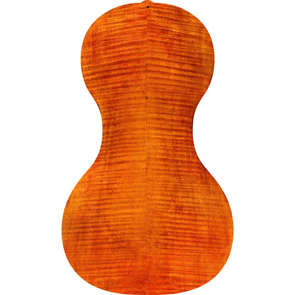 Forte3D® Cello with "Wooden Old Italian Cello" TOP AND OR BACK