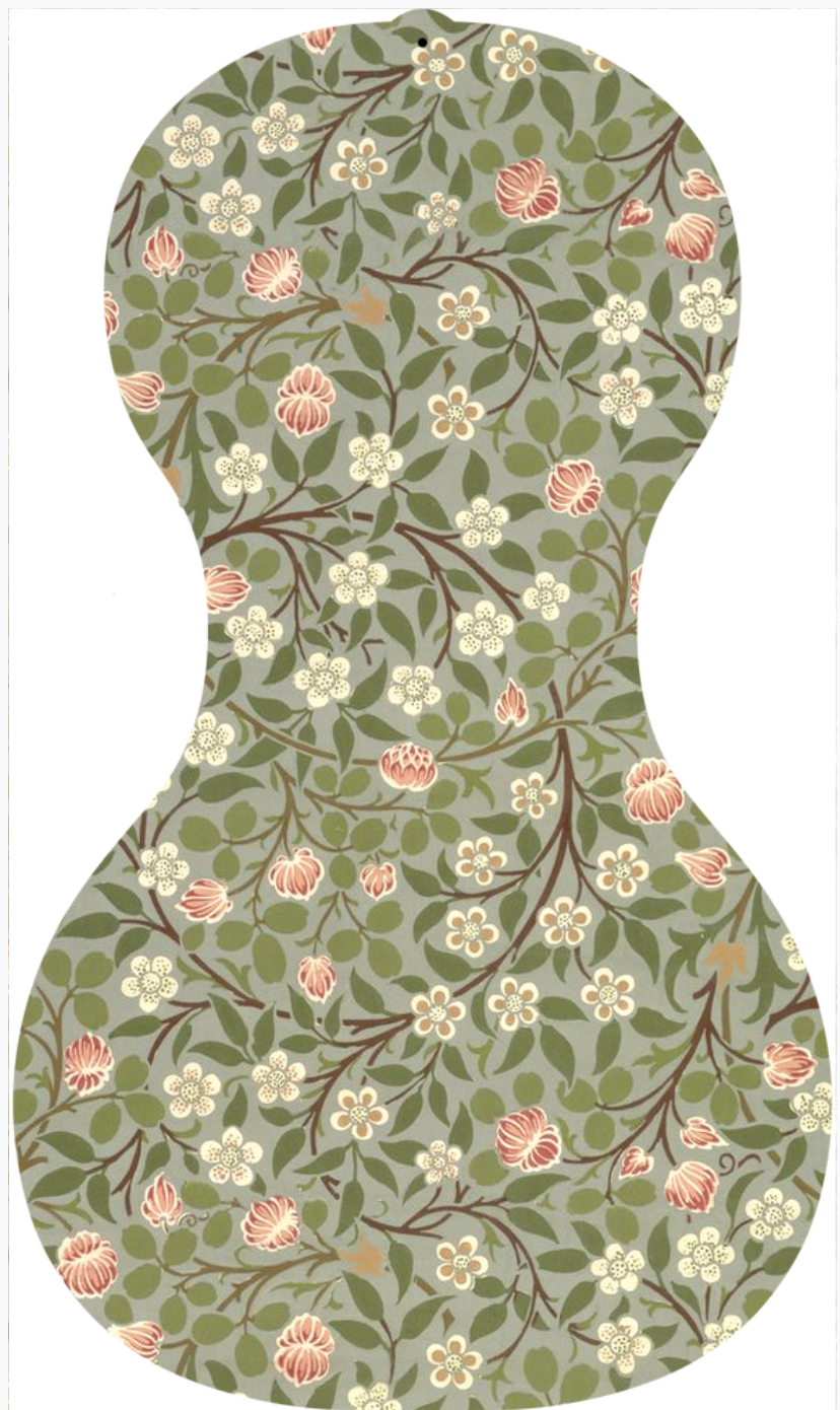 Forte3D® Cello - Fine Art BACK
