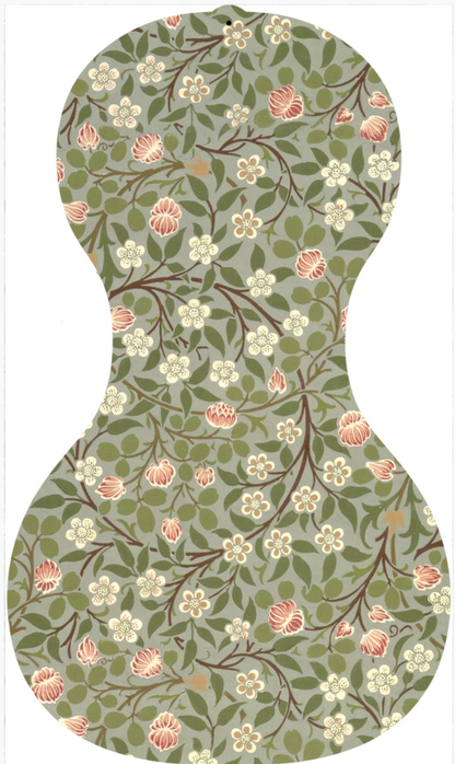 Forte3D® Cello - Fine Art BACK