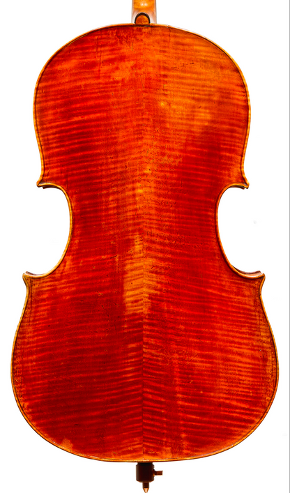 Forte3D® Cello with "Wooden Old Italian Cello" Painted BACK