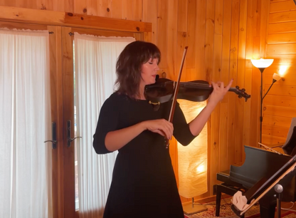 Forte3D Violin